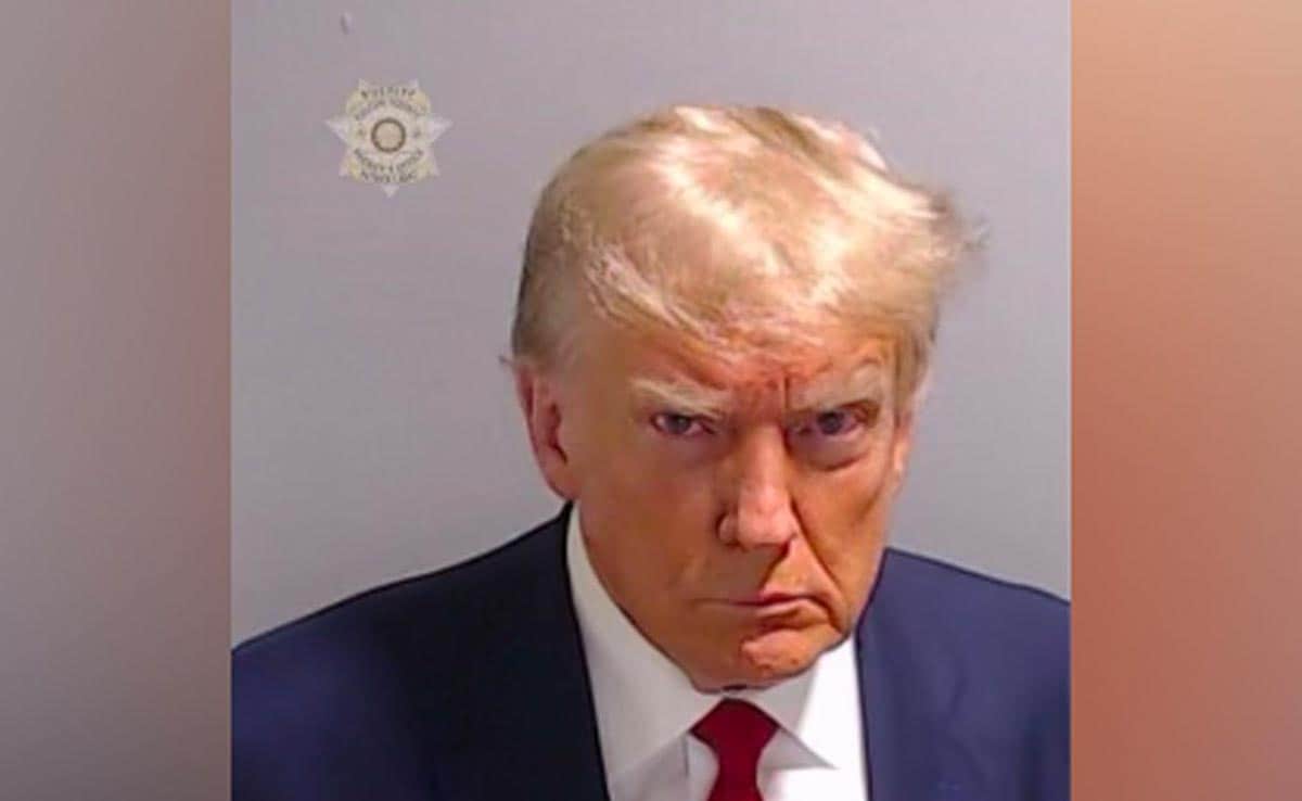 "6'3, 97 kg, Hair Blonde Or Strawberry": Trump Arrested