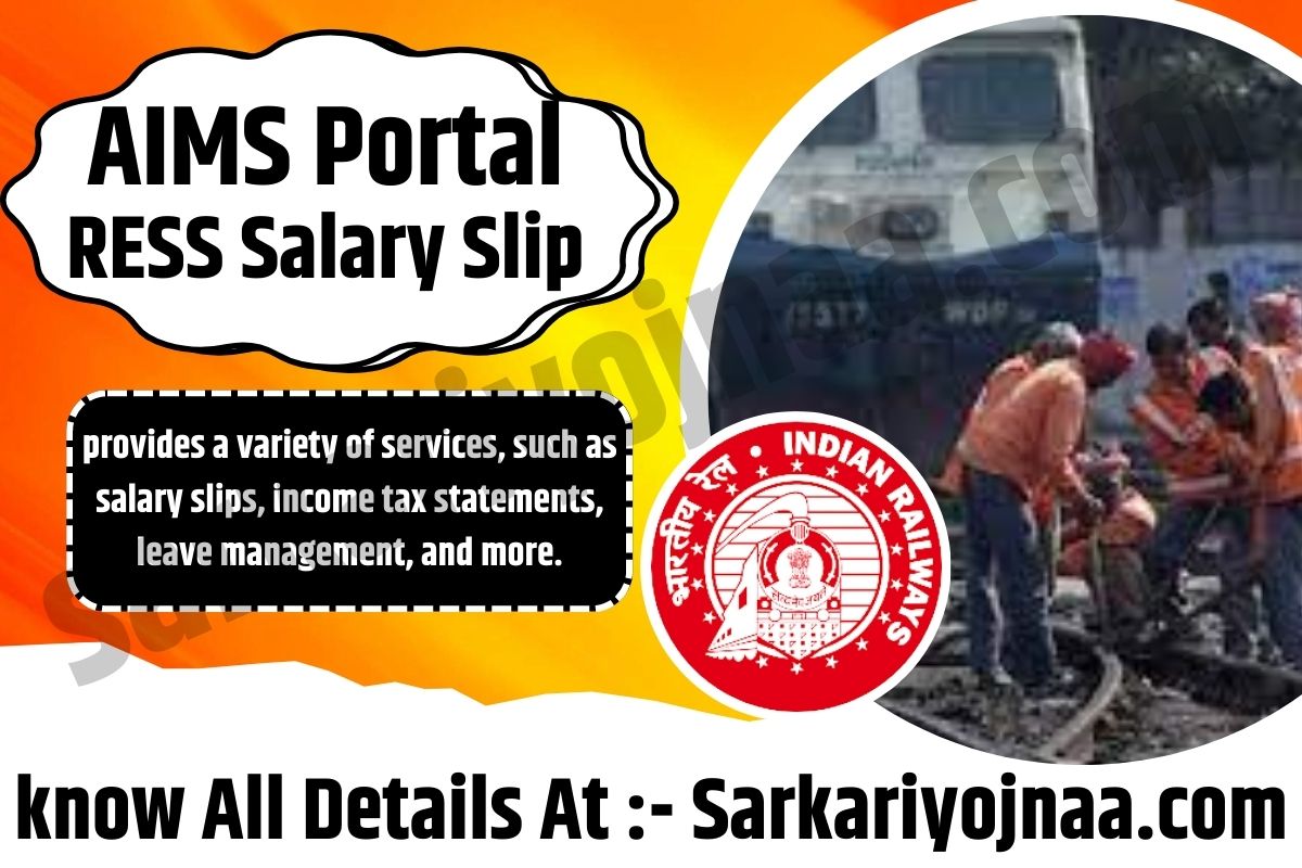 How to Login to the AIMS Portal and Check Your RESS Salary Slip