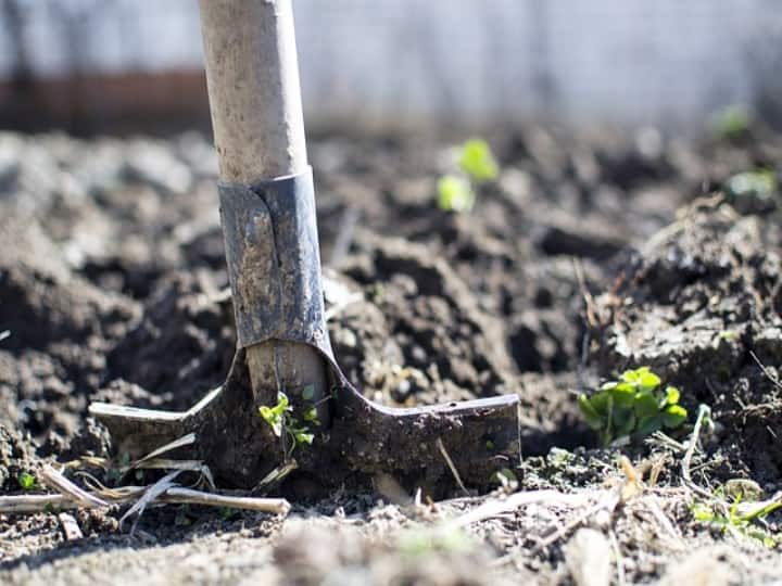 मिट्टी को बीमार होने से बचाने के लिए ये काम है जरूरी, एक्सपर्ट ने कही ये बात
