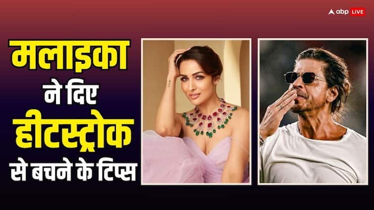 Shahrukh khan heat stroke malaika arora reaction actress gives tips to beat the heat Shah Rukh Khan की तबीयत बिगड़ने पर परेशान हुईं मलाइका अरोड़ा, हीटस्ट्रोक से बचने के लिए फैंस को दिए टिप्स