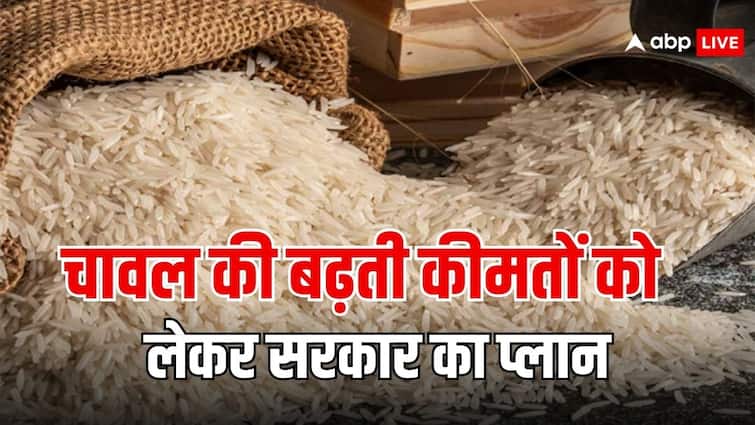 rice price hike know what is government planning to tackle it 30 दिन में ही इतने बढ़ गए चावल के दाम, इस पर कैसे लगाम लगाएगी सरकार?