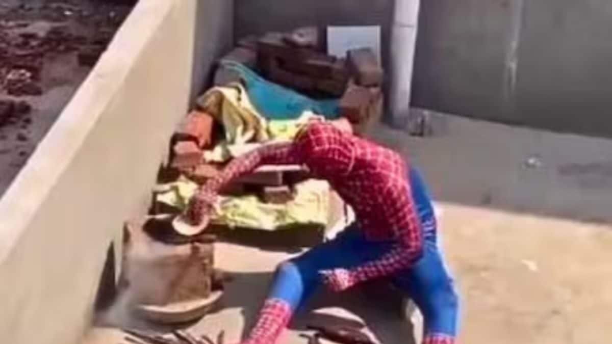 Watch: Man In Spiderman Suit Makes Rotis On Terrace - News18
