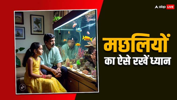 How to care fish aquarium know easy tips all you need to know in hindi Home Tips: घर में रखना चाहते हैं एक्वेरियम तो इन बातों का हर हाल में रखें ख्याल, वरना...