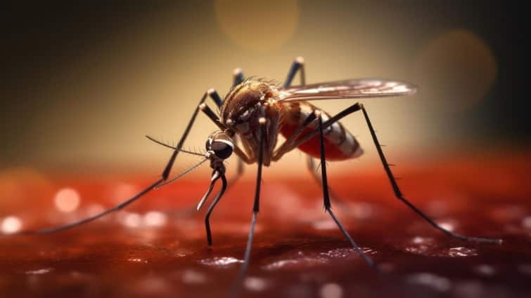 health tips difference between dengue and zika know symptoms and prevention in hindi Zika Virus: डेंगू या जीका वायरस...जानें कौन सी बीमारी ज्यादा खतरनाक, दोनों में क्या है अंतर