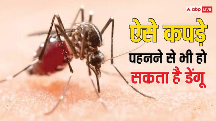 Lifestyle tips how to prevent ourselves from dengue mosquitoL Dengue: डेंगू से बचना है तो भूल कर भी ना पहनें इस तरीके के कपड़े, बरसात शुरू होने से पहले ही कर लें ये काम