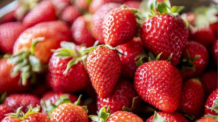 घर पर इस आसान तरीके से उगाएं स्ट्रॉबेरी, बाजार से खरीदने का झंझट होगा खत्म