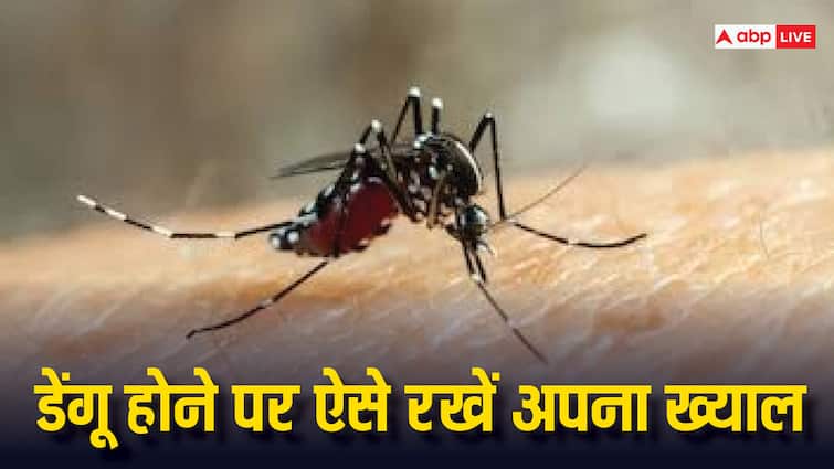 health tips how to take care dengue patients know preventions in hindi Dengue Care: डेंगू होने के बाद क्या करना चाहिए, क्या नहीं, एक्सपर्ट्स से जानें