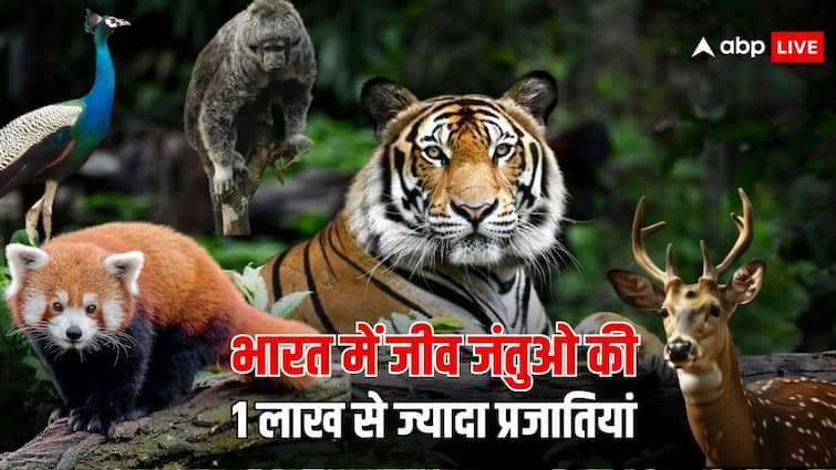 zsi Animal Taxonomy Summit 2024 one lakh species covered india made a complete list of animals become first country to do so भारत में सभी जीव जंतुओं की बनाई गई लिस्ट, एक लाख से भी ज्यादा प्रजातियां है मौजूद