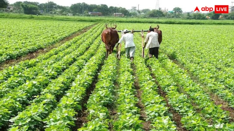 Farmers can apply online for loan waiver in Uttar Pradesh यूपी में कर्ज कैसे माफ करा सकते हैं किसान, क्या होती है इसकी प्रक्रिया?