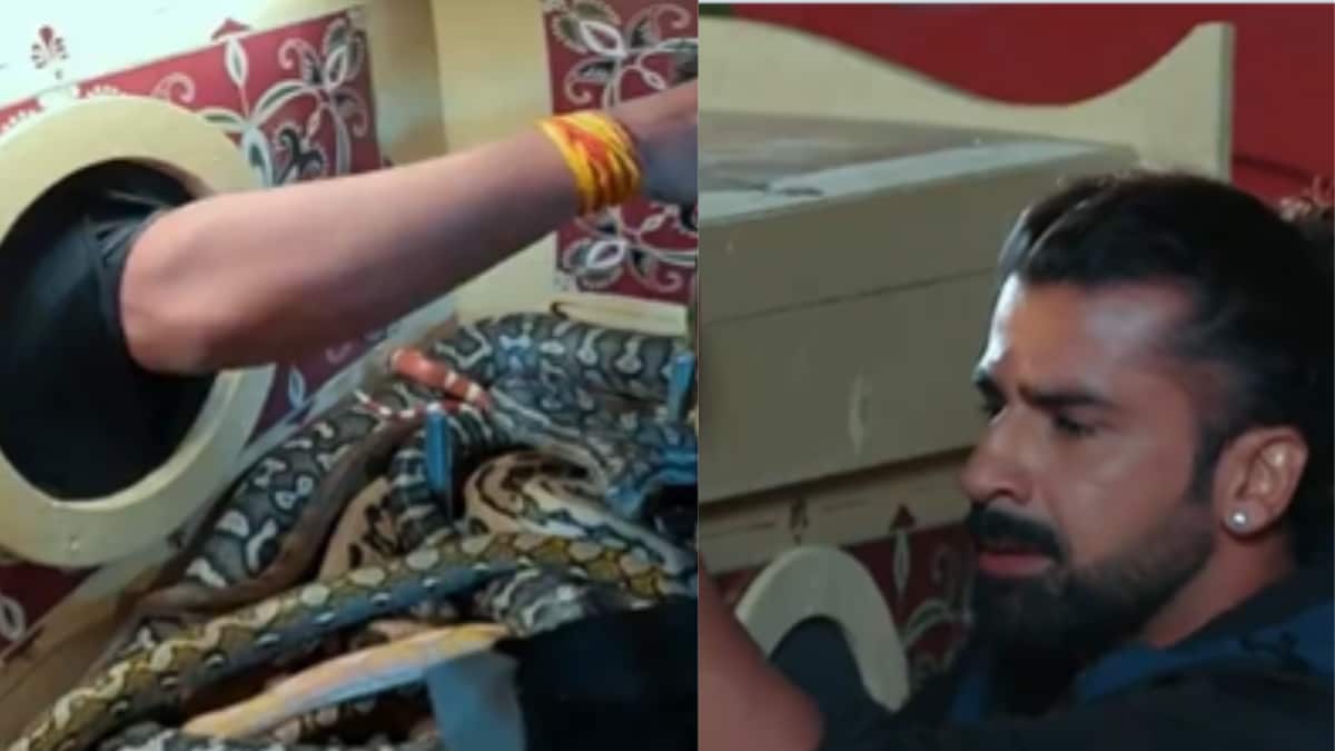 New Khatron Ke Khiladi Promo Shows Aashish Mehrotra Screaming In Terrifying Snake Stunt - News18